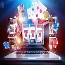 wim44 bet