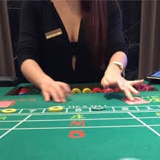 wim44 bet